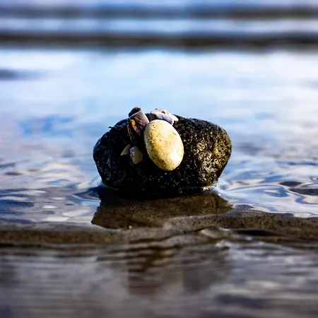 Fjordstuga Holiday home *
