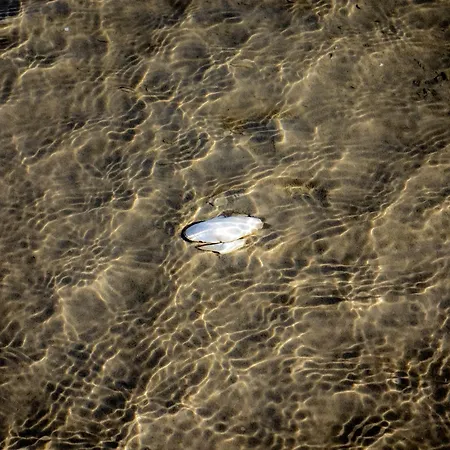 Fjordstuga Holiday home *