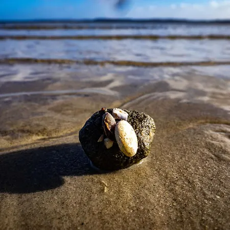 Holiday home Fjordstuga *