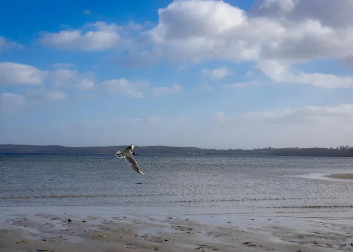 Ferienhaus Fjordstuga *
