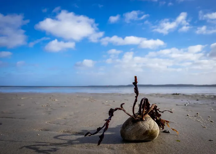 Fjordstuga Ferienhaus Glücksburg