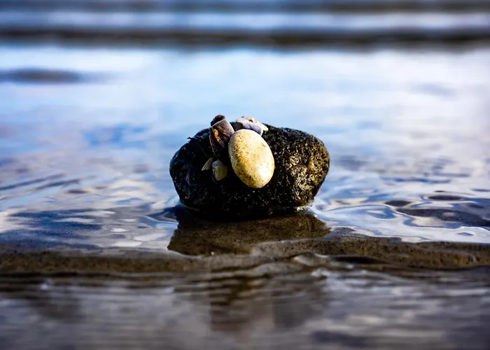 Fjordstuga Ferienhaus *