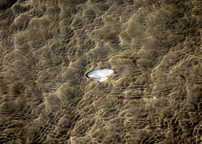 Fjordstuga Ferienhaus *