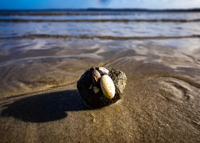 Ferienhaus Fjordstuga *